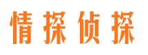 津南侦探公司